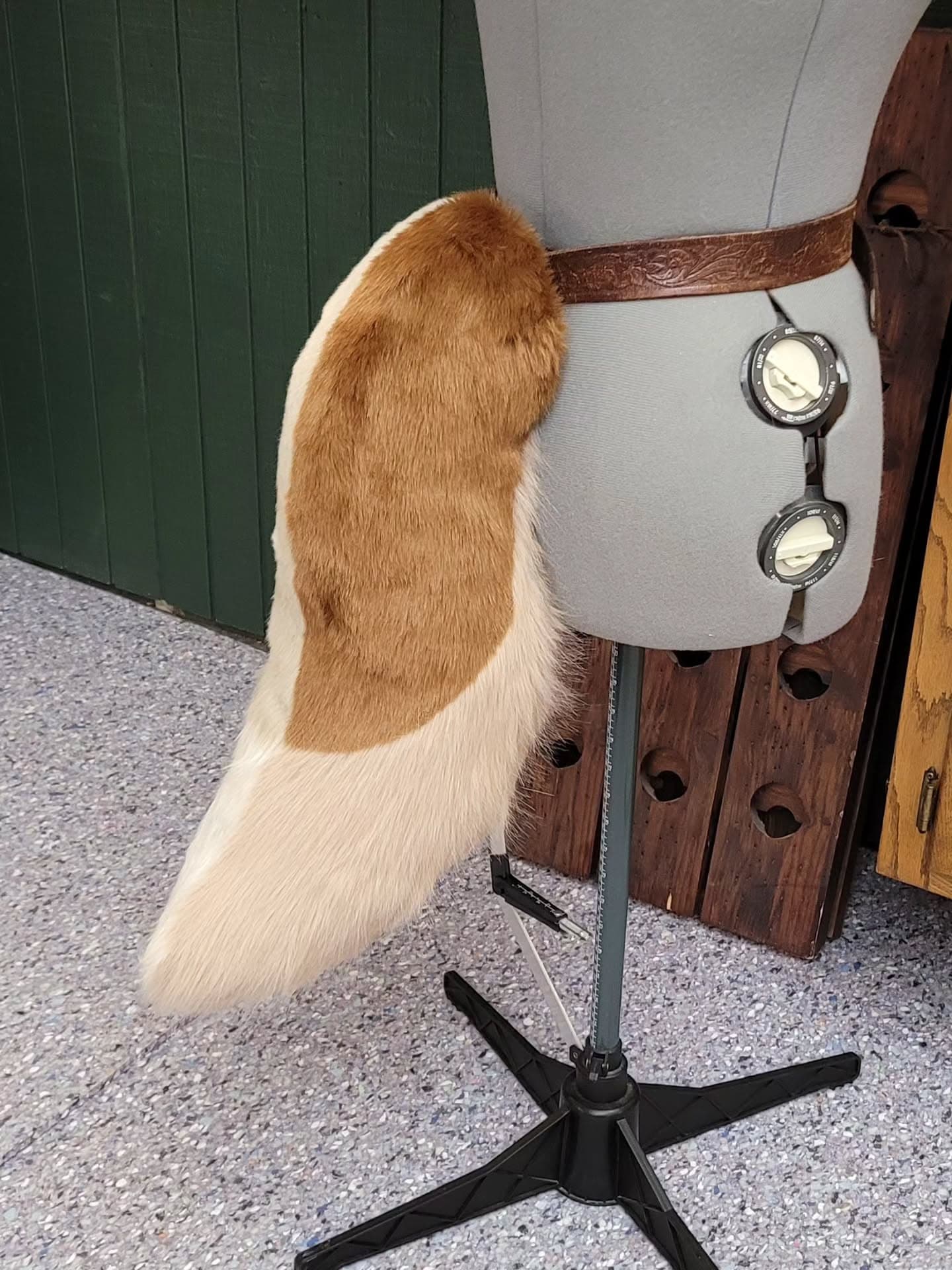 Biscuit Tail — Hound Tail tail, full view on stand