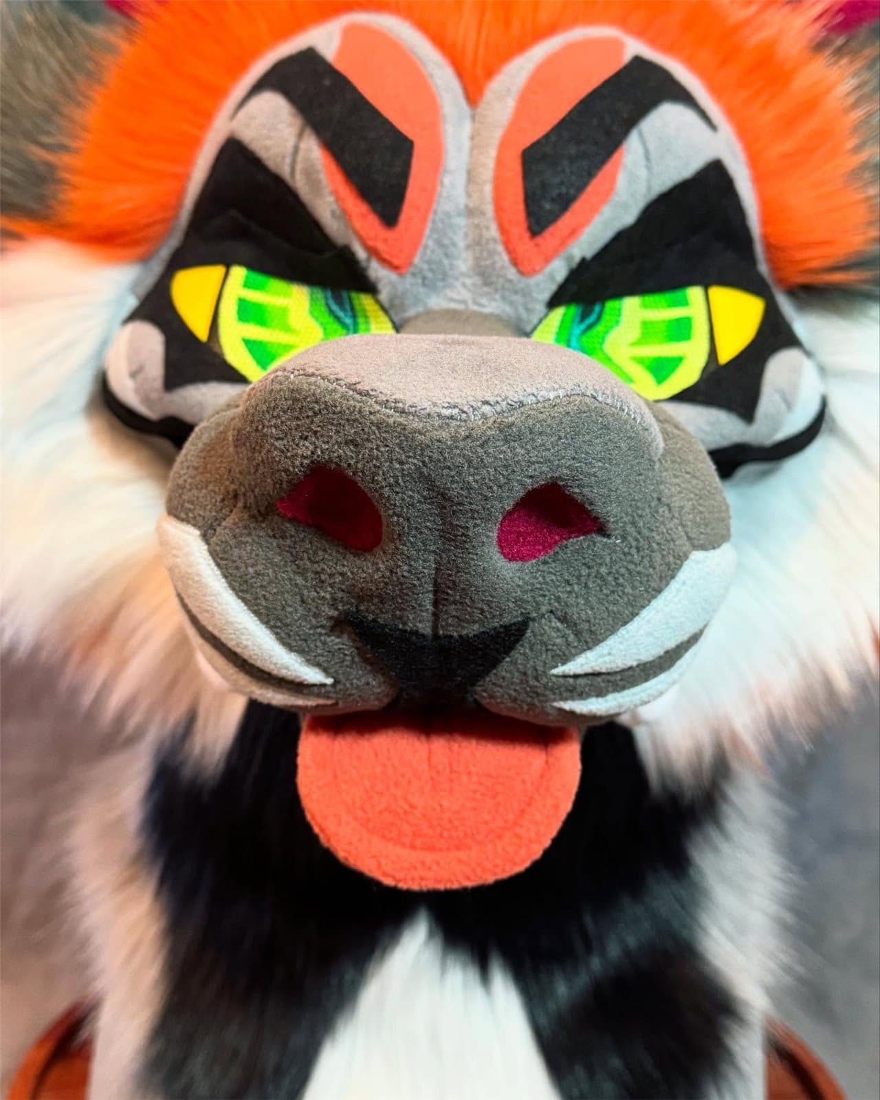 Glitch — Cross Fox head only, front view