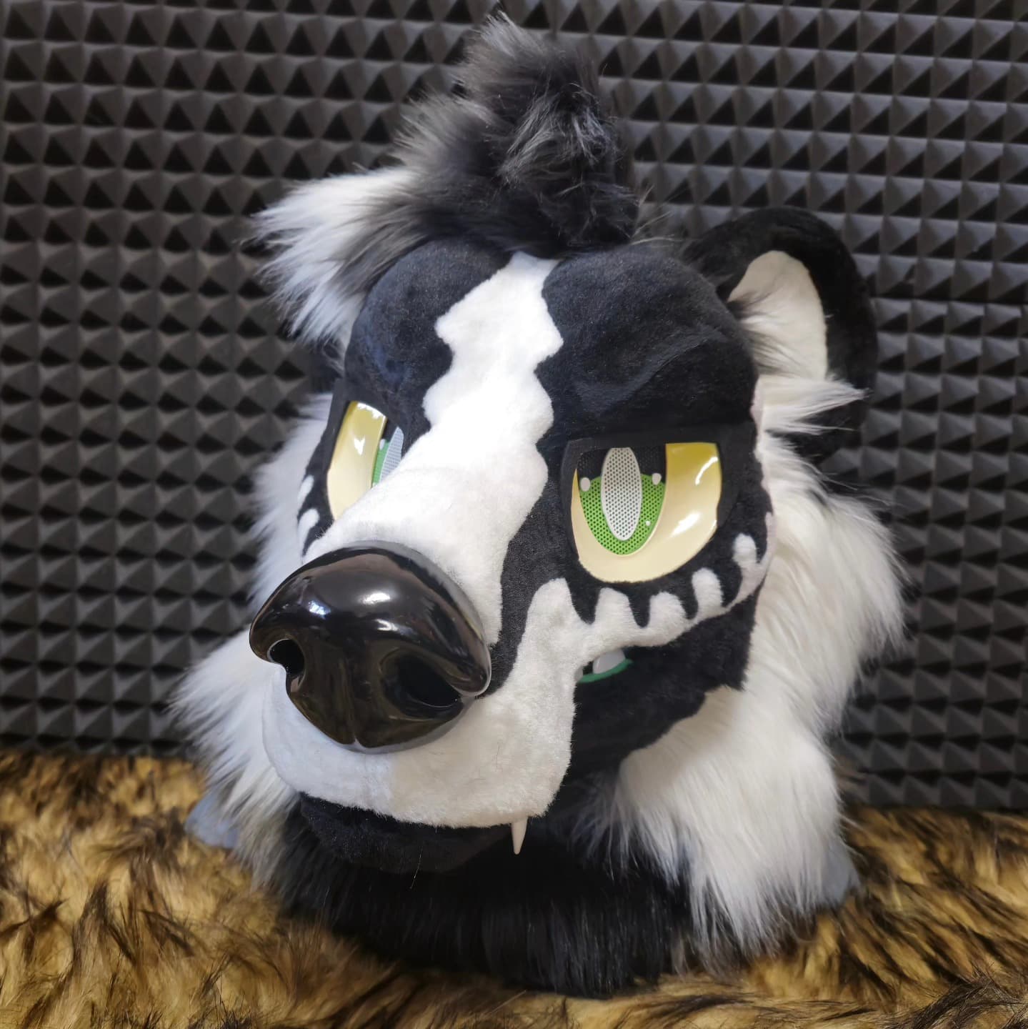 Hex — Skeletal Wolf head only, front portrait