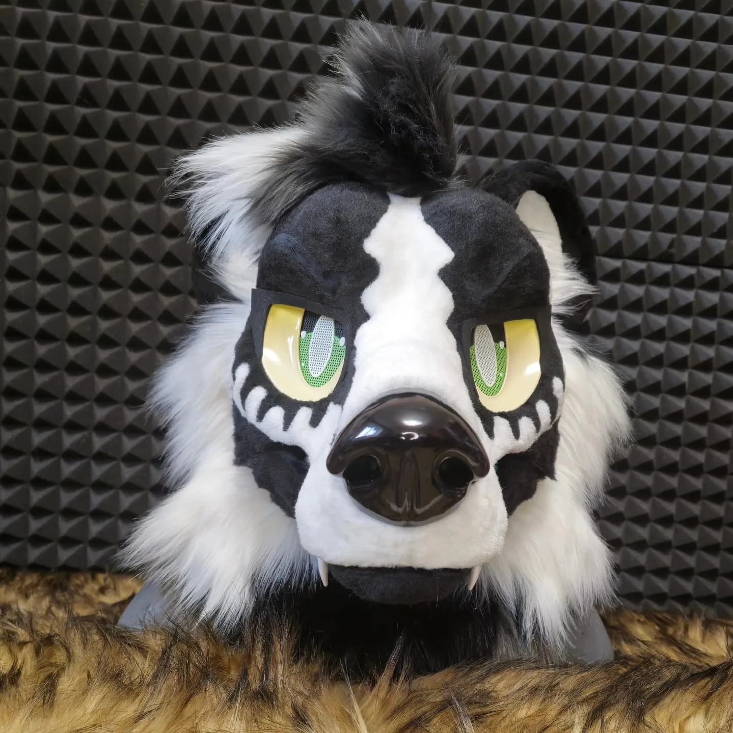 Magpie — Bonemarked Wolf head only, front view