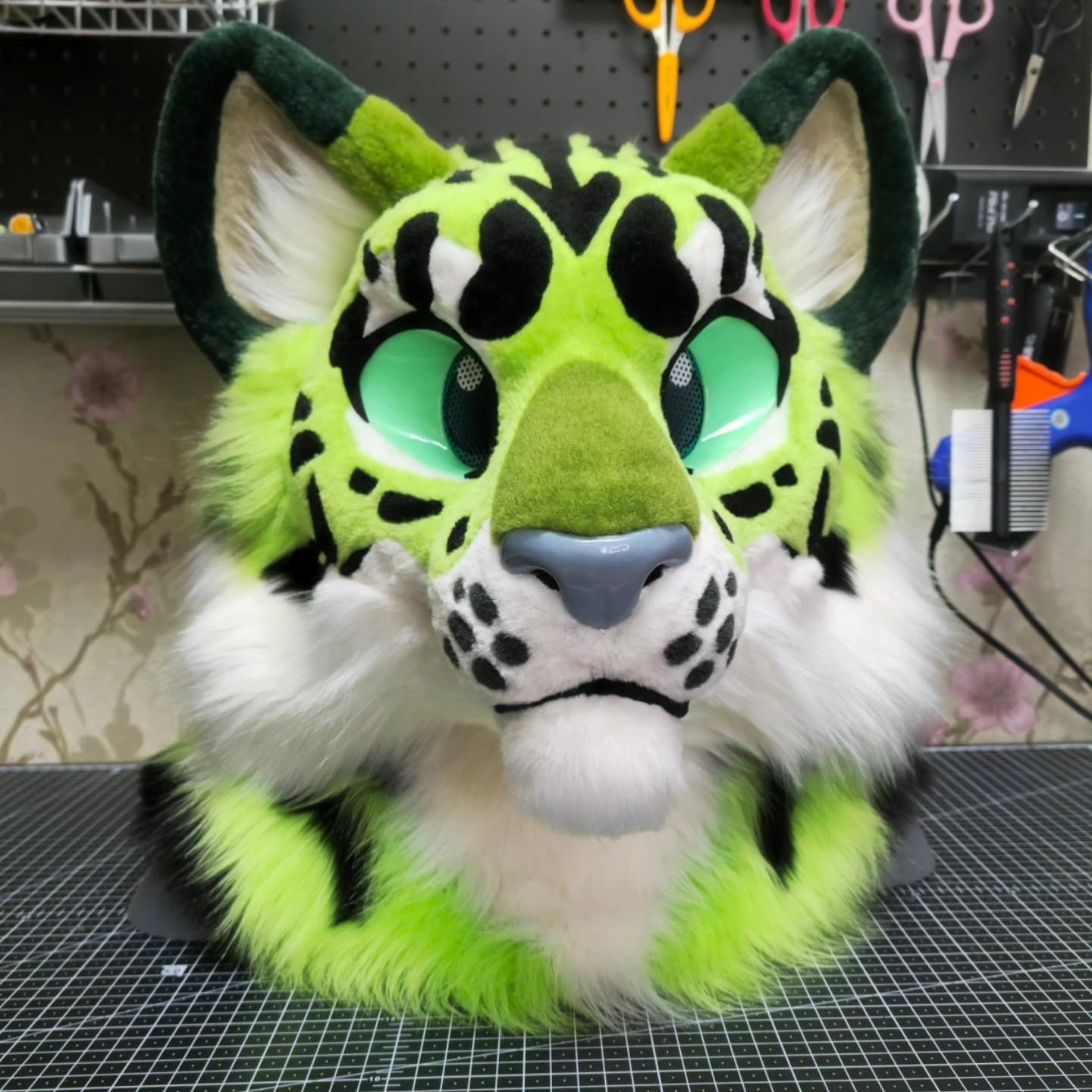 Matcha — Clouded Leopard head only, front view