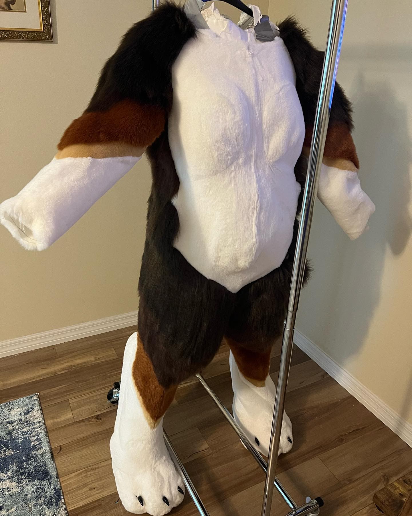 Ridge — Bernese Hound full suit, front view