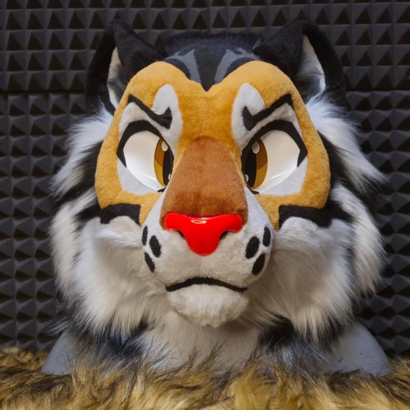 Rumble — Storm Tiger head only, front portrait