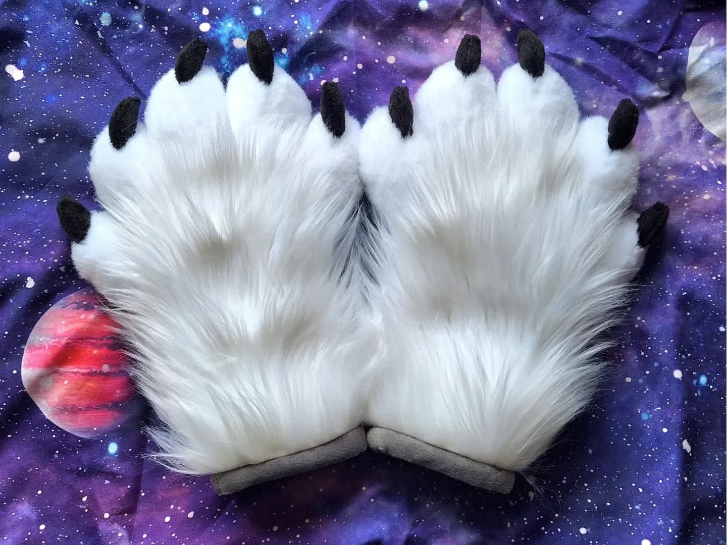 Snowcap Paws — photo 1 of 2