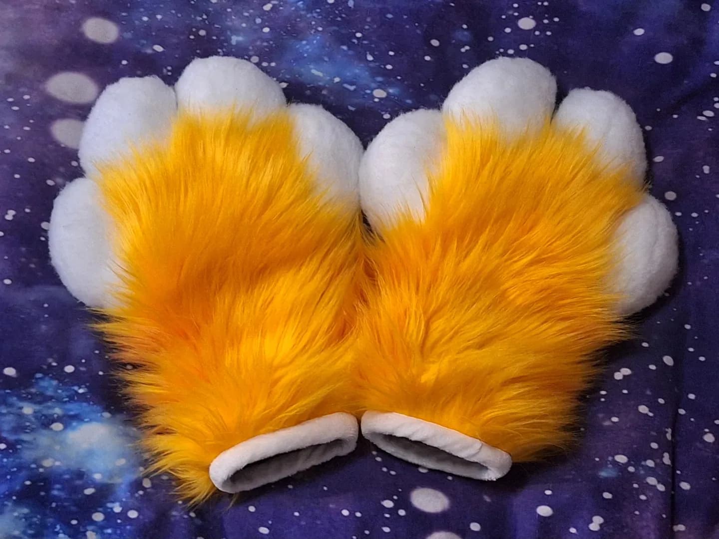 Apricot Paws — photo 1 of 2
