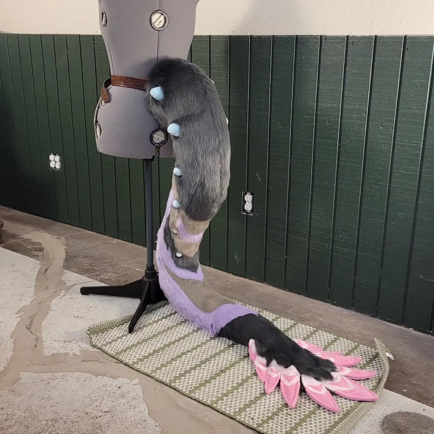 Comet Tail — photo 1 of 5