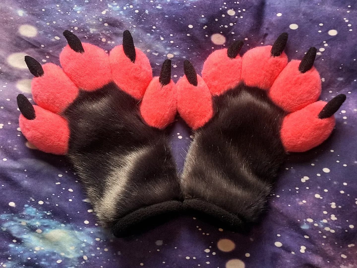 Coralbite Paws — photo 1 of 2