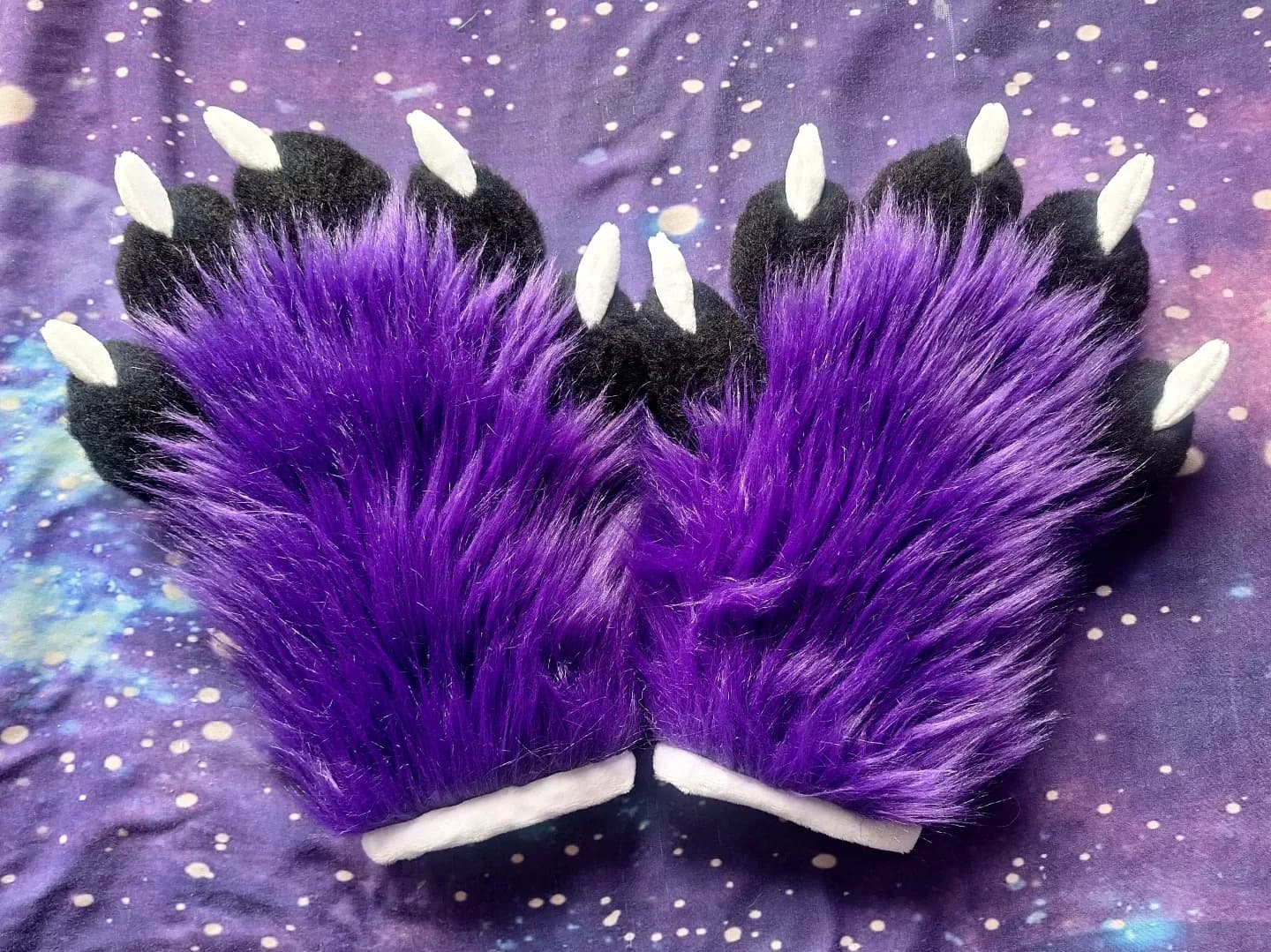 Nightshade Paws — photo 1 of 2