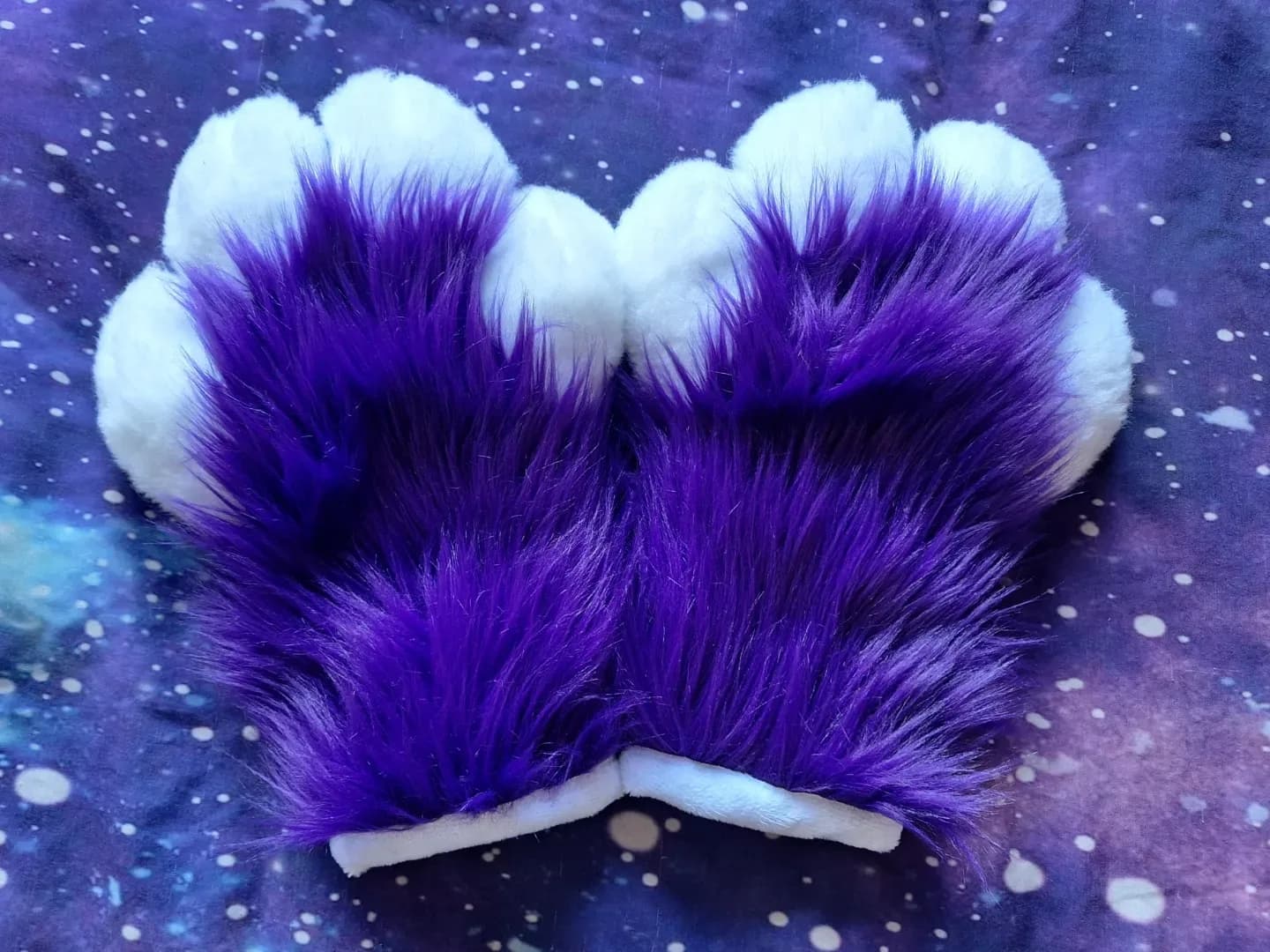 Taffy Paws — photo 1 of 2